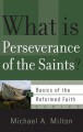 What is Perseverance of the Saints?