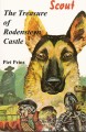 Scout: The Treasure of Rodensteyn Castle